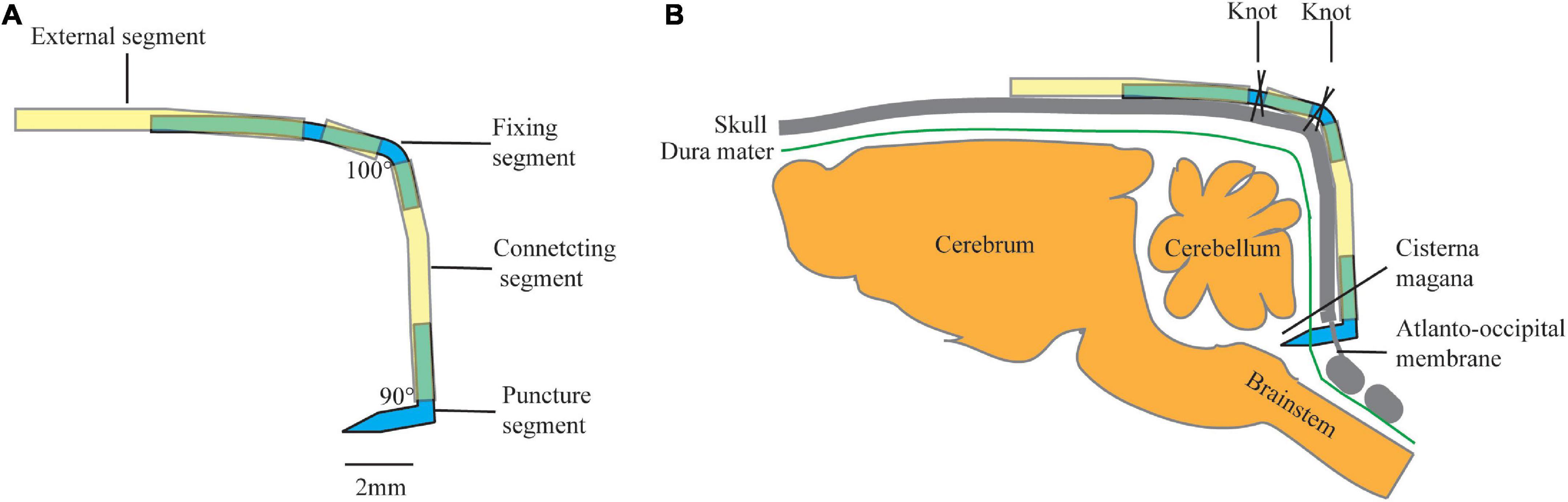 A novel method for repeated cerebrospinal fluid sampling and long-term monitoring of intracranial pressure in rats